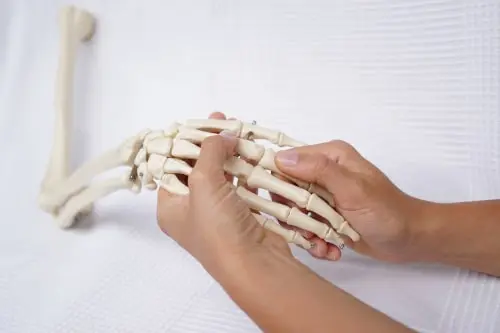 Handtherapie Mülheim - Hände des Handtherapeuten bei der Demonstration am Hand-Modell.